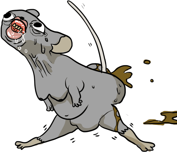 I Also Just So Happen To Own A Photo Of A Mouse Shitting - I Also Just So Happen To Own A Photo Of A Mouse Shitting - Transparent PNG Free Download | PNGio