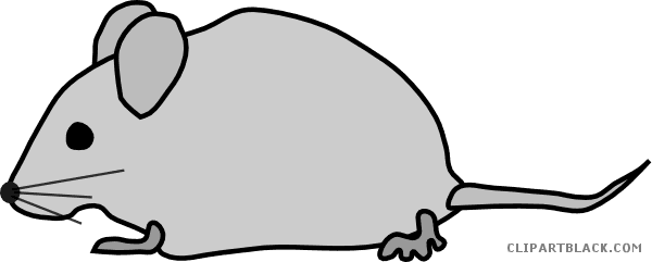 Gray Mouse Animal Free Black White Clipart Images Clipartblack - Maus Clipart - Transparent PNG Free Download | PNGio