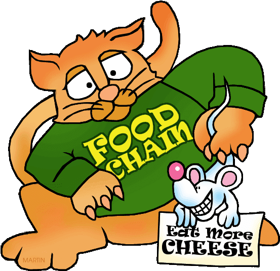 Food Chain With Cat And Mouse - Food Chain Clip Art - Transparent PNG Free Download | PNGio