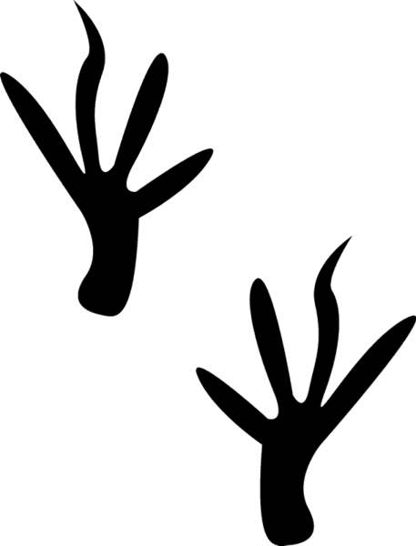 Mouse Tracks Rubber Stamp - Postage Stamp - Transparent PNG Free Download | PNGio