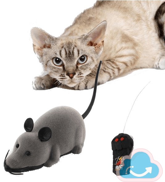 Remote Control Mouse Cat Toy - Cherry's Pet Hot Sale! 2017 New Cat Toy Wireless Remote - Transparent PNG Free Download | PNGio