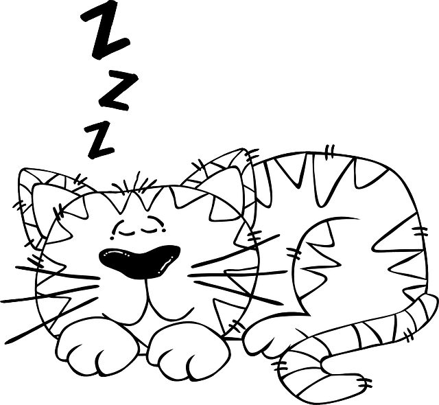 Outline Animals, Baby, Cat, Monkey, Mouse, Black, Outline - Sleep Cartoon Black And White - Transparent PNG Free Download | PNGio