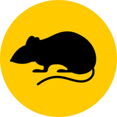 Mouse Button - Osmate - Transparent PNG Free Download | PNGio