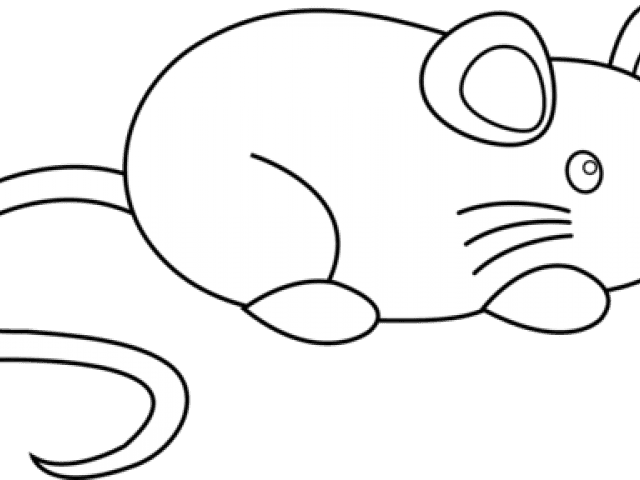 Rat Mouse Clipart - Clip Art - Transparent PNG Free Download | PNGio