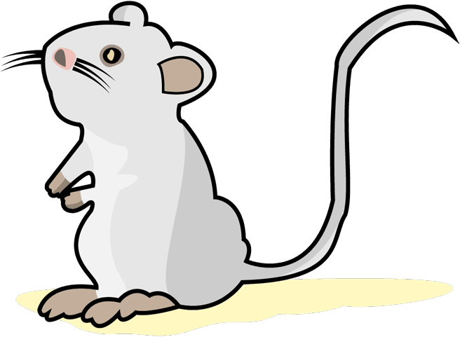 Clipart Freeuse Stock Monoclonal Development And Production - Cat - Transparent PNG Free Download | PNGio