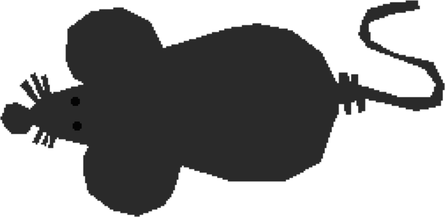 All Photo Png Clipart - Red Fox - Transparent PNG Free Download | PNGio