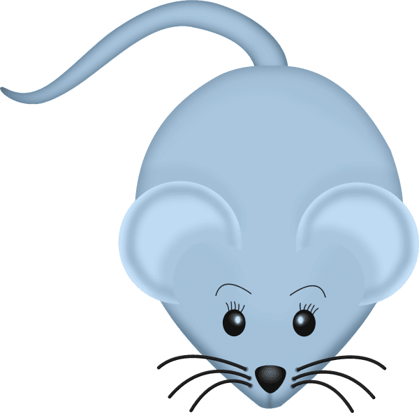Mouse Animals Images, Zoo Animals, Animal Pictures, - Mouse Animals Images, Zoo Animals, Animal Pictures, - Transparent PNG Free Download | PNGio