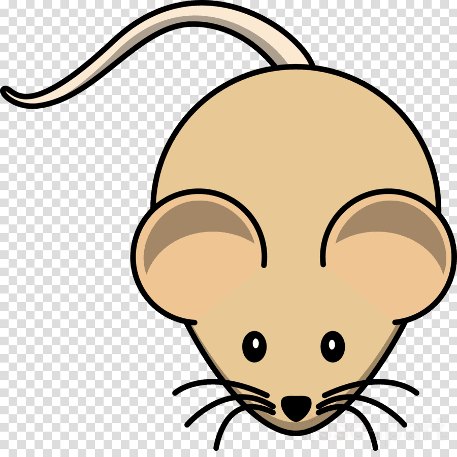 Mouse Clip Art Clipart Computer Mouse Clip Art - Mouse Clip Art Clipart Computer Mouse Clip Art - Transparent PNG Free Download | PNGio