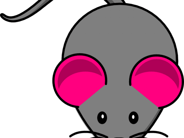 Rat Clipart Gray Mouse - Rat Clipart Gray Mouse - Transparent PNG Free Download | PNGio