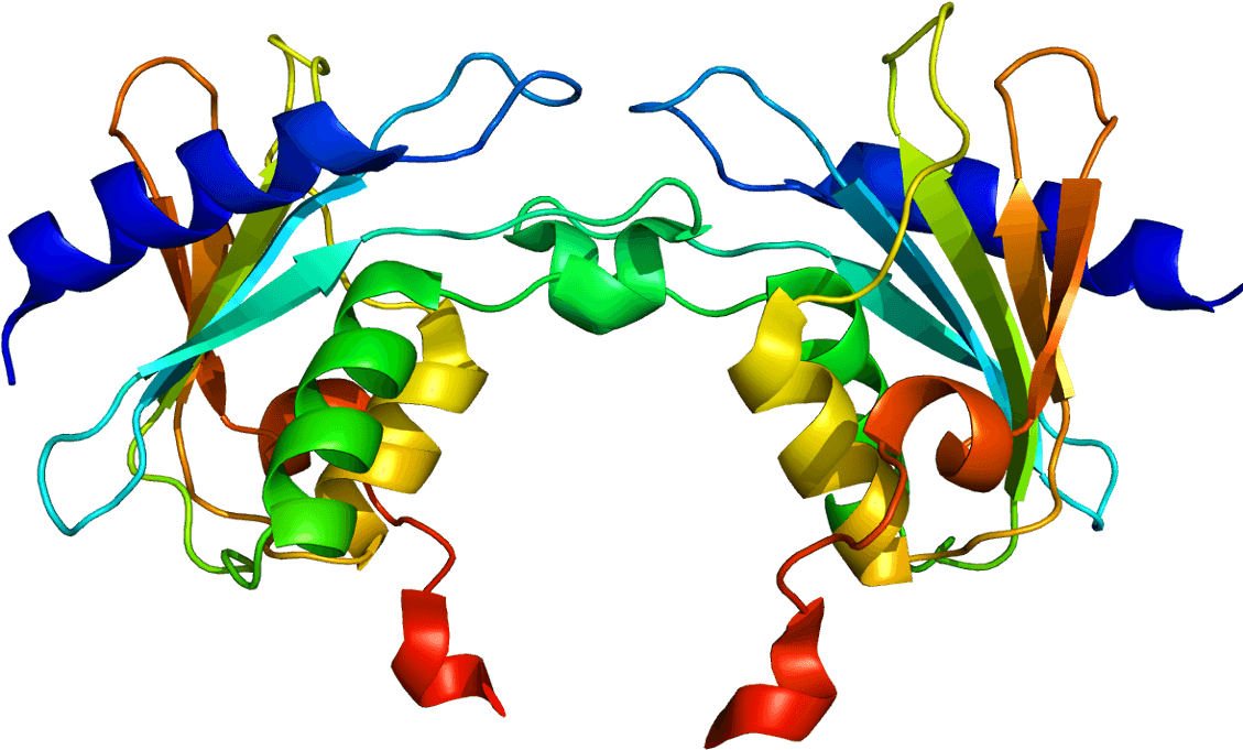 Phenylketonuria Cured In Mouse Model By Adaptation - Phenylketonuria Cured In Mouse Model By Adaptation - Transparent PNG Free Download | PNGio