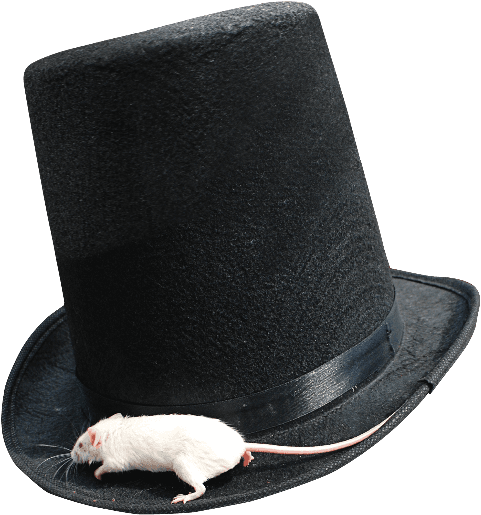 Magician Top Hat Png With White Mouse - Mouse - Transparent PNG Free Download | PNGio