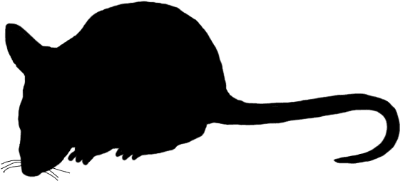 Mouse Silhouette Sidewasy, Mouse Clip Art Silhouette - Mouse Silhouette Transparent - Transparent PNG Free Download | PNGio