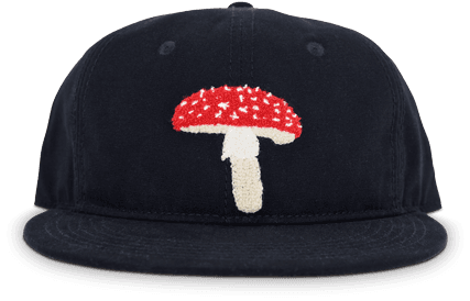Modest Mouse Ambsn Mushroom Hat - Modest Mouse Mushroom Hats - Transparent PNG Free Download | PNGio