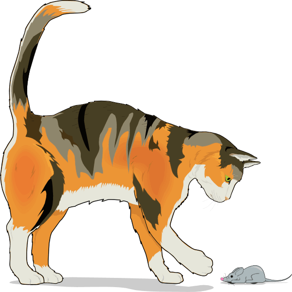 Cat With Mouse Clip Art At Clker - Cat And Mouse Png - Transparent PNG Free Download | PNGio