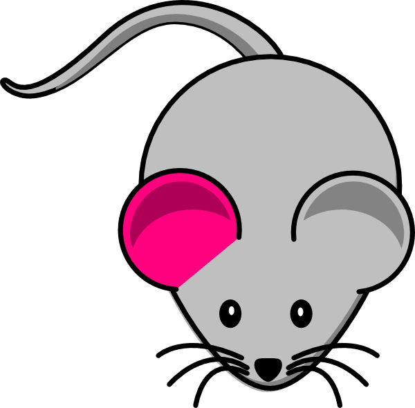 How To Set Use Single Pink Ear Gray Mouse Clipart - Cartoon Mouse Shower Curtain - Transparent PNG Free Download | PNGio