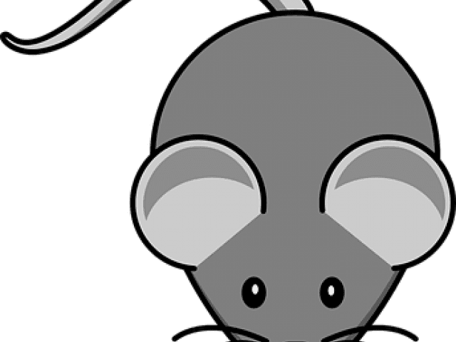 Whiskers Clipart Mouse Whisker - Cartoon Mouse - Transparent PNG Free Download | PNGio