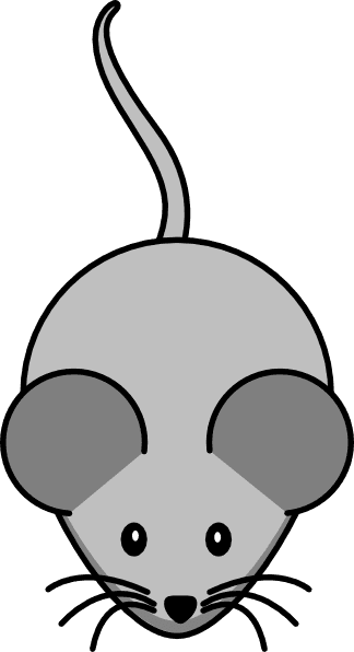 Small - Cartoon Mouse Shower Curtain - Transparent PNG Free Download | PNGio