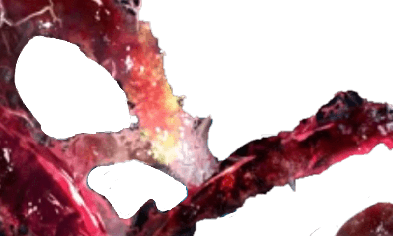 Tokyo Ghoul Ken Kaneki 04 Anime Game Gaming Mouse Pad - Transparent PNG Free Download | PNGio