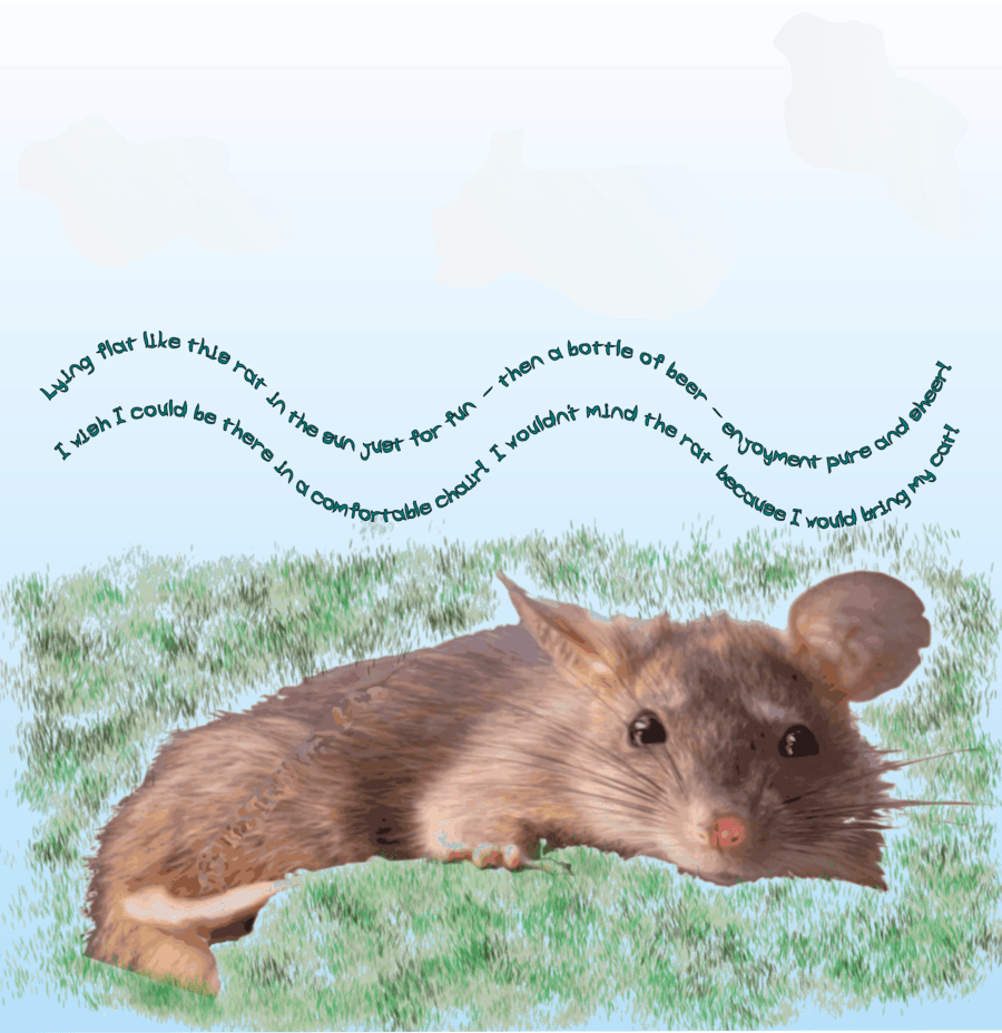 Clip Art Clipart Mouse Rat Clip Art - Transparent PNG Free Download | PNGio