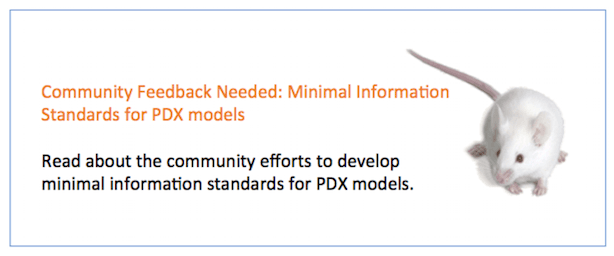 Mgi Mouse Genome Informatics The International Database - Rat - Transparent PNG Free Download | PNGio