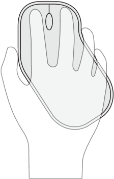 Changes The Rotation Of The Mouse - Illustration - Transparent PNG Free Download | PNGio