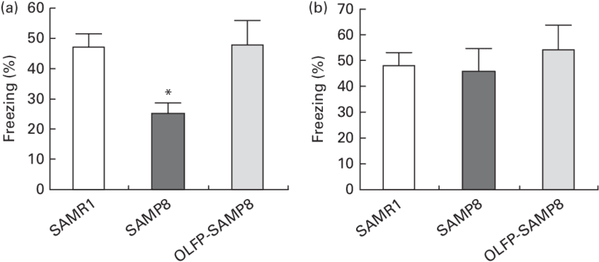 Effects Of Oligomerised Lychee Fruit Derived Polyphenol - Diagram - Transparent PNG Free Download | PNGio