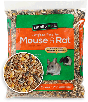 Big Reasons To Give Your Family Pet Small World Mouse - Rat - Transparent PNG Free Download | PNGio