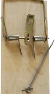 Big Mouse Trap - Rifle - Transparent PNG Free Download | PNGio