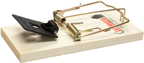 Mouse Traps - Davespestdefense Catchmaster Rat Wooden Snap Trap 610pe - Transparent PNG Free Download | PNGio