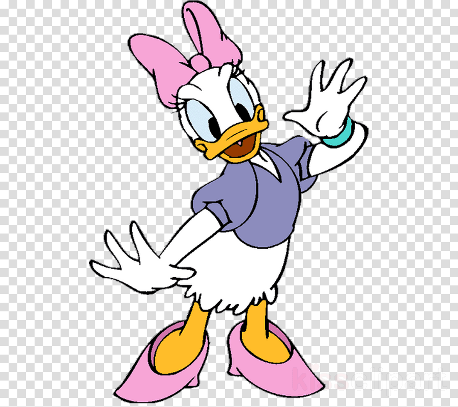 Daisy Duck Cartoon Clipart Donald Duck Daisy Duck Minnie - Transparent PNG Free Download | PNGio