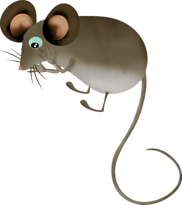 Mouse, Tubes, Png - Rat - Transparent PNG Free Download | PNGio