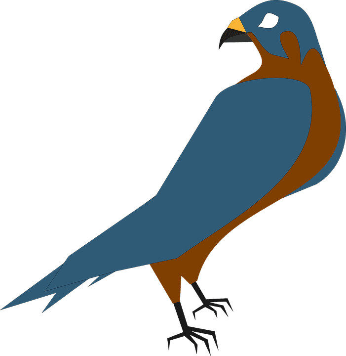 Falcon Clip Art - Falcon Clipart Png - Transparent PNG Free Download | PNGio