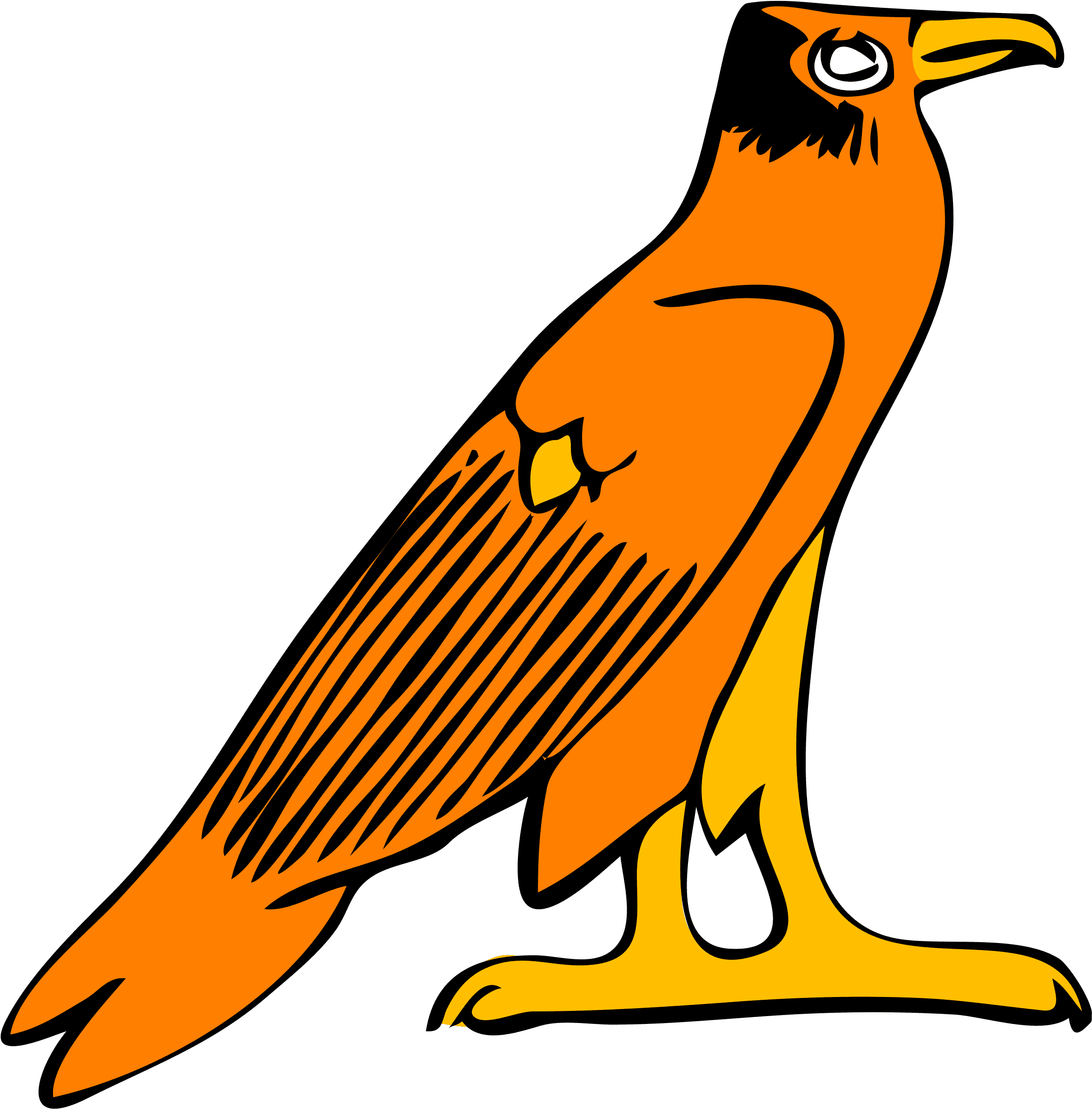 Falcon Clip Art - Falcon Clip Art - Transparent PNG Free Download | PNGio