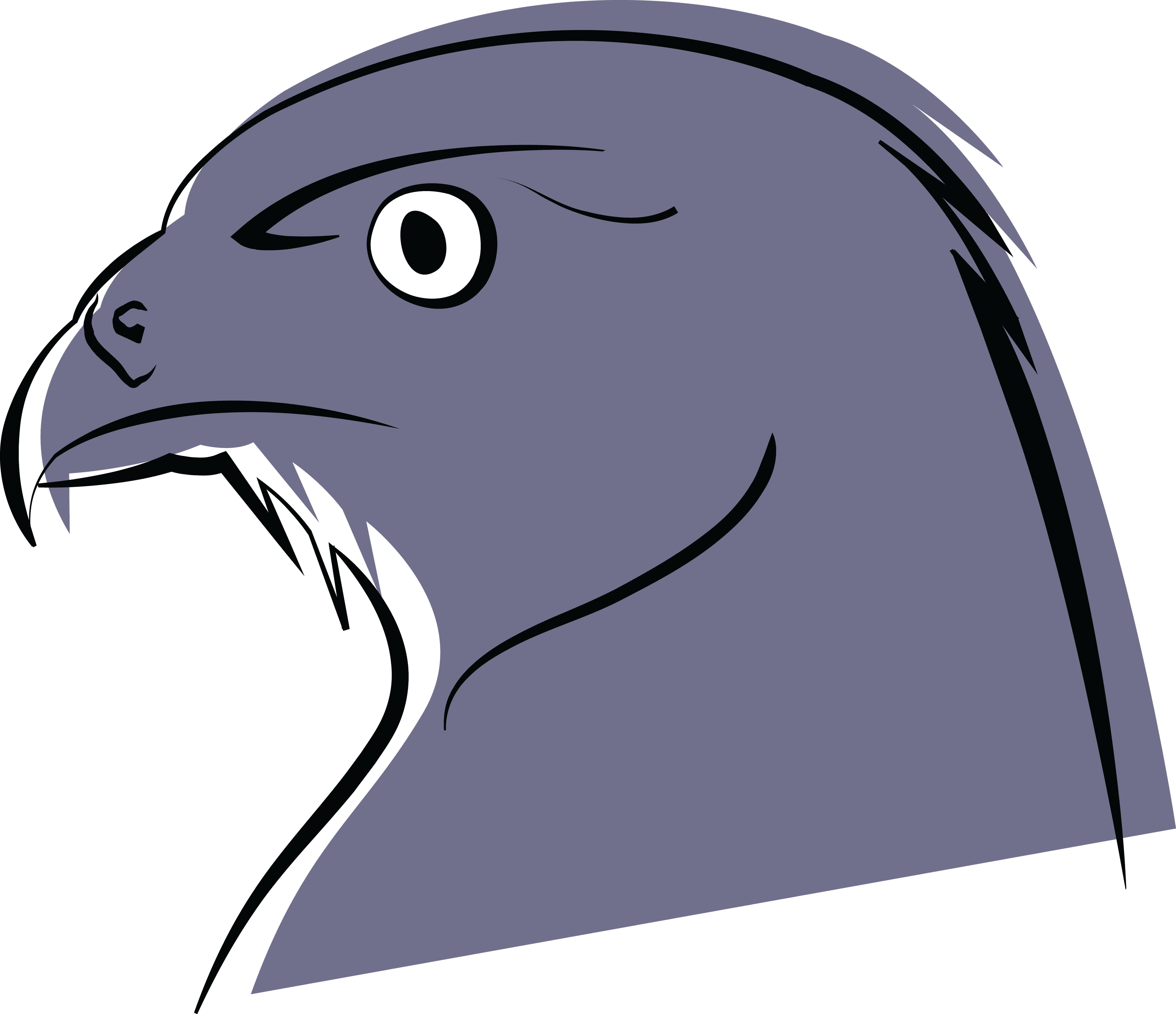 Free Clipart Of A Falcon - Falcon - Transparent PNG Free Download | PNGio