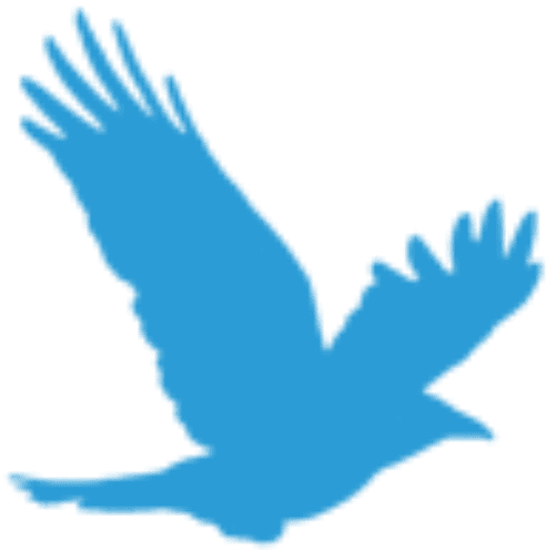 Bildung - Falcon - Transparent PNG Free Download | PNGio