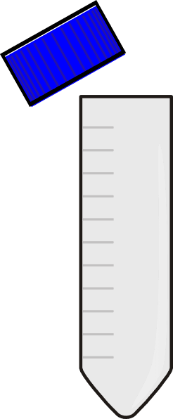 Falcon Tube Clip Art At Clker - Tube Falcon - Transparent PNG Free Download | PNGio