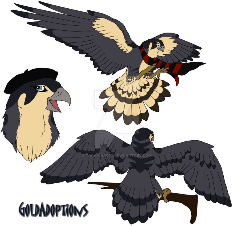 Peregrine Falcon For Kaylin540 By Taraviadopts - Peregrine Falcon Anime - Transparent PNG Free Download | PNGio