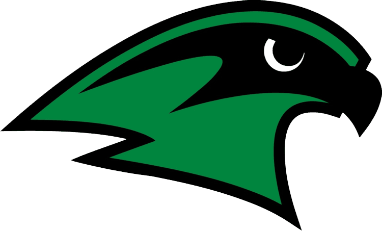 Staley Falcons - Staley High School Falcon - Transparent PNG Free Download | PNGio