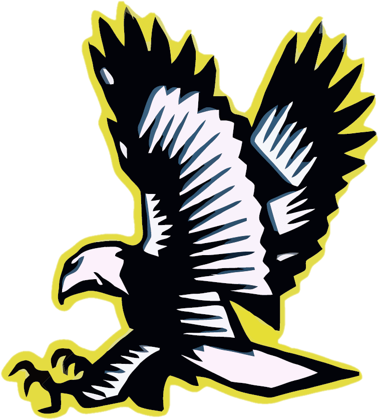 Lakeville Falcons - Lakeville Falcons - Transparent PNG Free Download | PNGio
