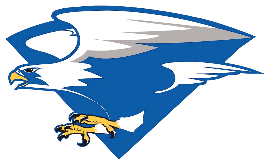 North Forney Falcons - Air Force Falcons Football - Transparent PNG Free Download | PNGio