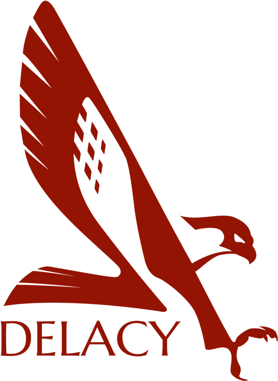 Faulcon Delacy - Elite Dangerous Falcon Delacy - Transparent PNG Free Download | PNGio