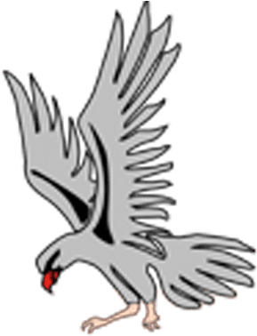 Silver Falcons - Silver Falcon - Transparent PNG Free Download | PNGio