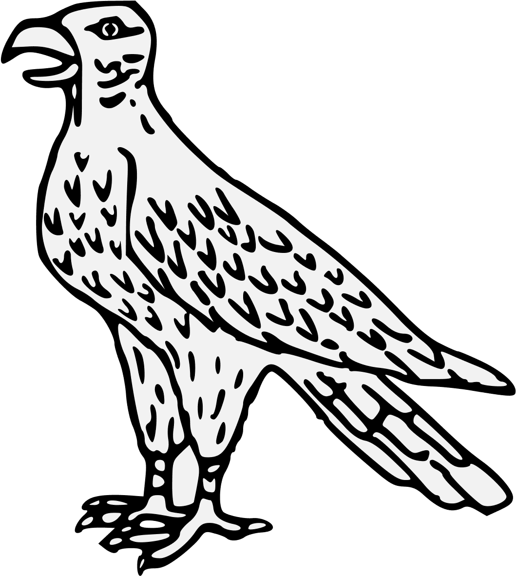 Pdf - Falcon - Transparent PNG Free Download | PNGio