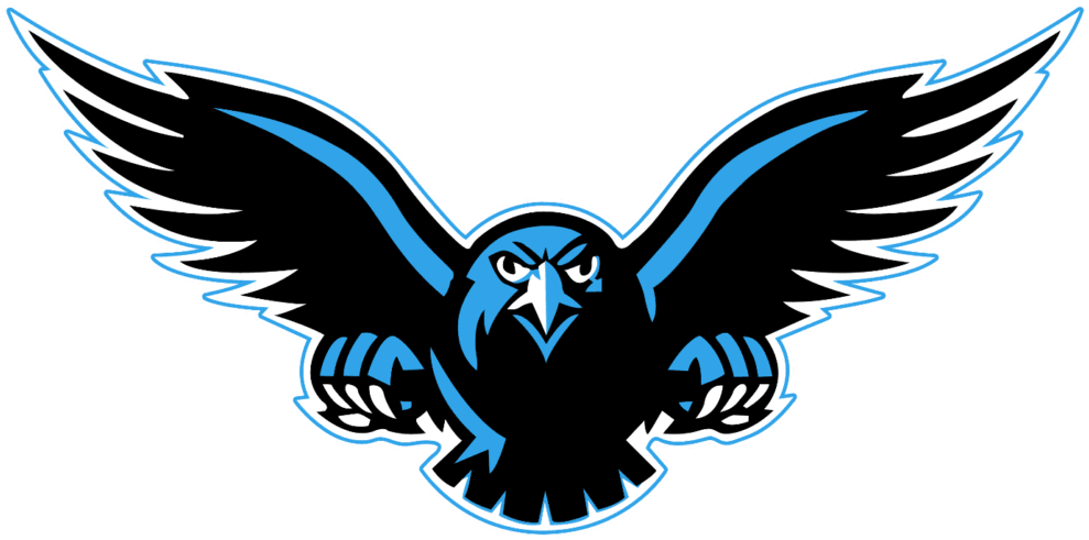 Transparent Background Peoplepng Com - Connellsville Falcons - Transparent PNG Free Download | PNGio