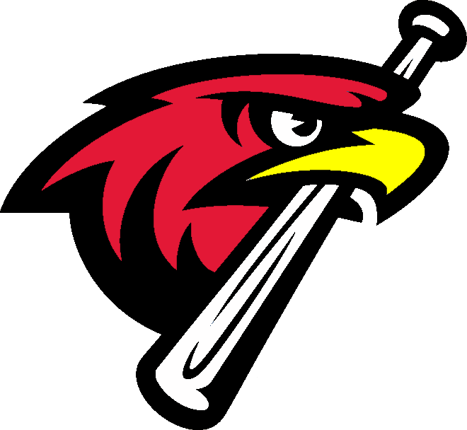 Hawk Clipart Nighthawk - Air Force Falcons Baseball Team - Transparent PNG Free Download | PNGio