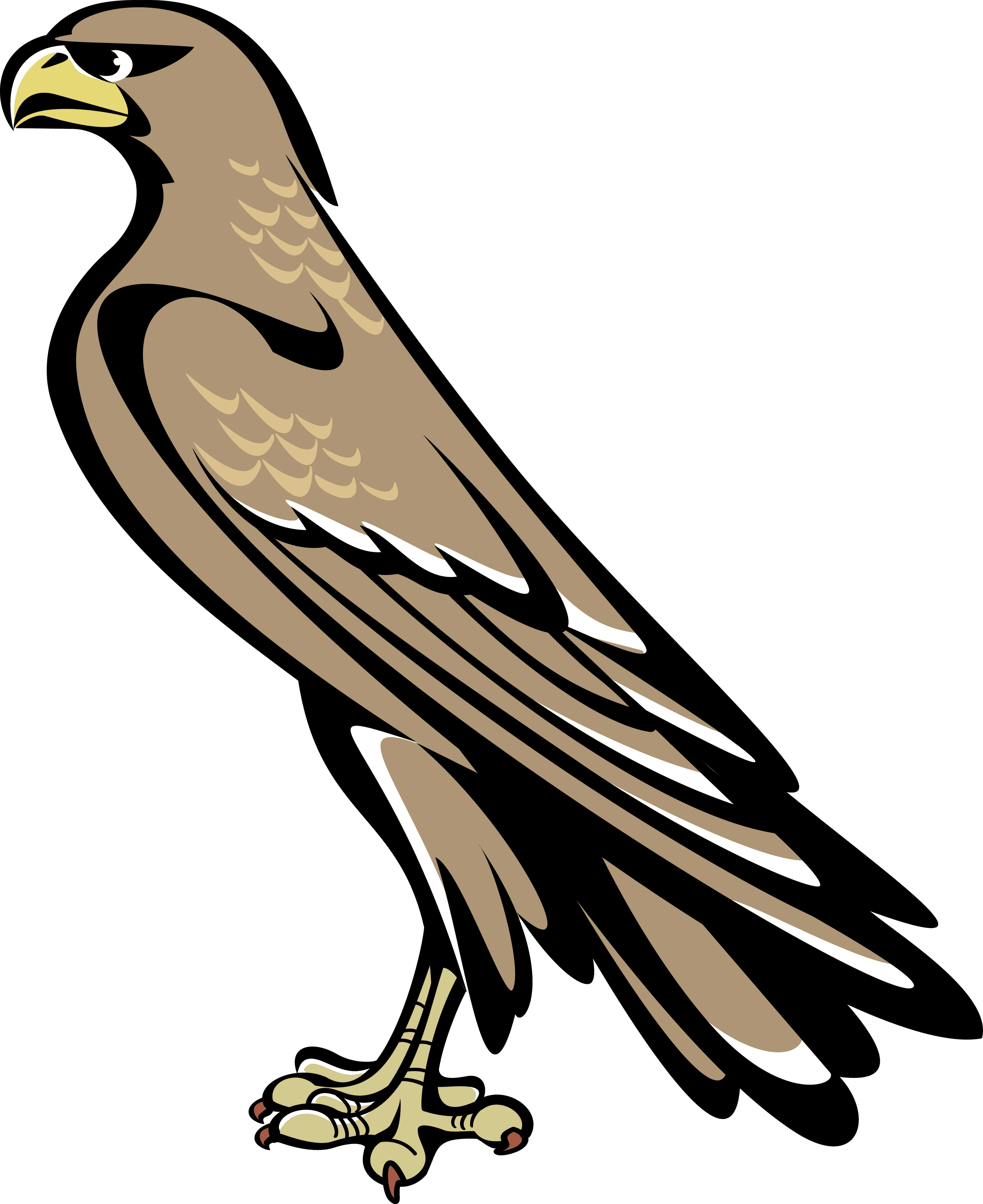 Falcon Clipart Coat Arm - Falcon Symbol Coat Of Arms - Transparent PNG Free Download | PNGio