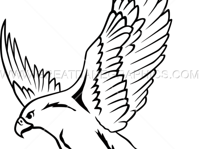 Falcon Clipart Drawing - Falcon Drawing - Transparent PNG Free Download | PNGio