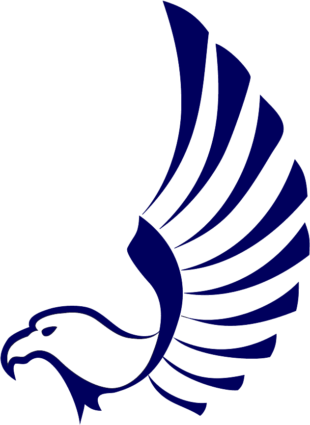 Falcon - Felix Festa Falcon - Transparent PNG Free Download | PNGio