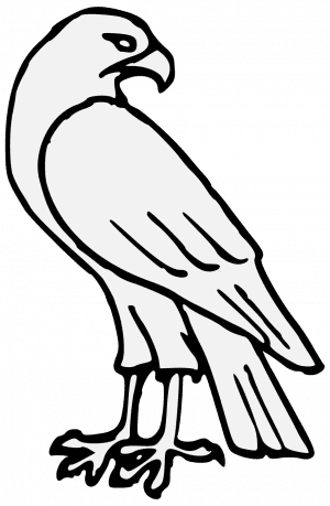 Hawk Coloring Traceable - Falcon Drawing Png - Transparent PNG Free Download | PNGio