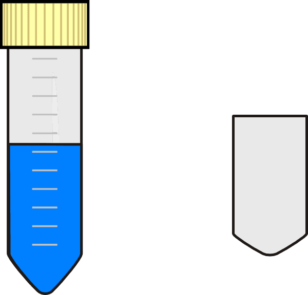 Falcon Test Tube With Blue Nutrient Media Svg Clip - Spit Test Tube .png - Transparent PNG Free Download | PNGio